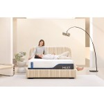 MLILY ChiroPro 3.0 13" Plush Twin XL