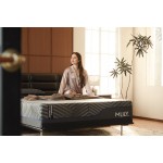 MLILY Midnight 1.0 12" Firm Full