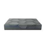 MLILY Midnight 1.0 12" Firm King