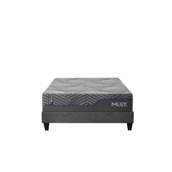 MLILY Midnight 3.0 12" Plush Twin