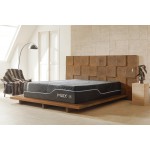 MLILY Midnight Ice 3.0 14" Plush Twin XL