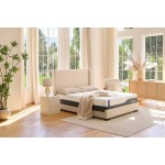 MLILY Wellflex 3.0 12" Plush Cal King
