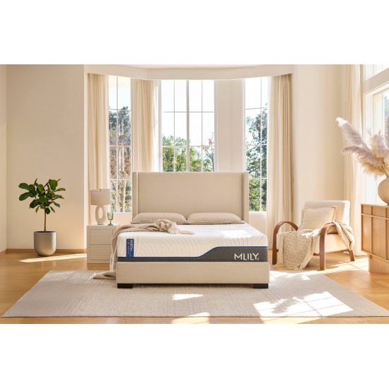 MLILY Wellflex 1.0 12" Firm Full