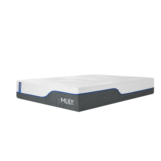 MLILY Wellflex 1.0 12" Firm Queen
