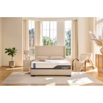 MLILY Wellflex 1.0 12" Firm Twin XL