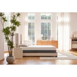 MLILY Wellflex 1.0 12" Firm Twin XL