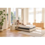 MLILY Wellflex 1.0 12" Firm Twin XL