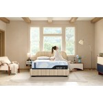 MLILY Wellflex Ice 3.0 14" Plush Queen