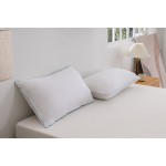 MLILY Ethically Sourced Down Pillow Queen