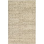 Rug Unique Loom Del Mar Beige Rectangular 5' 0 x 8' 0