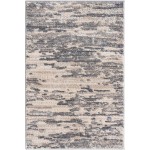 Rug Unique Loom Oasis Gray Rectangular 2' 0 x 3' 0