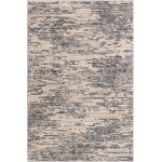 Rug Unique Loom Oasis Gray Rectangular 4' 0 x 6' 0