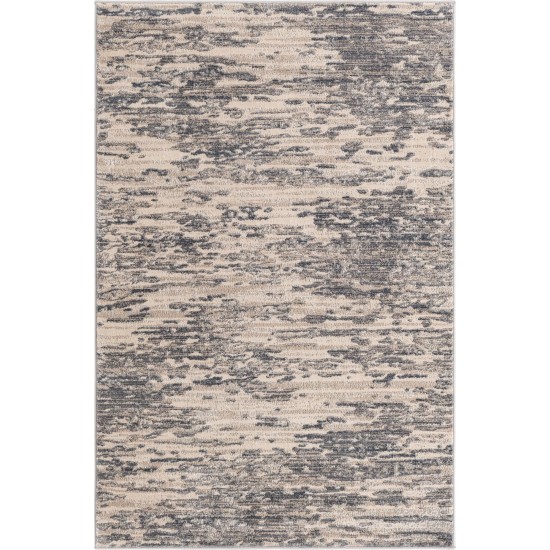 Rug Unique Loom Oasis Gray Rectangular 4' 0 x 6' 0