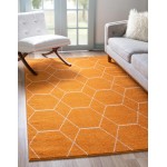 Rug Unique Loom Trellis Frieze Orange Rectangular 2' 0 x 3' 0