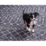 Rug Unique Loom Outdoor Trellis Charcoal Gray Rectangular 9' 0 x 12' 0