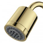 Kingston Brass Vilbosch 2 Function Shower Head, Polished Brass