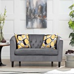 Prospect Performance Velvet Loveseat