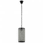 Reflect Glass and Metal Pendant Chandelier