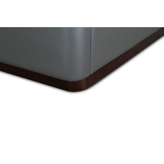 Lenyx Queen-Size Bed in Graphite