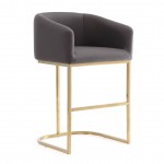 Louvre Barstool in Grey and Black