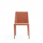 Paris Dining Chair in Clay-Set of 2