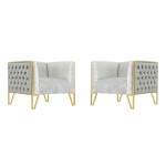 Vector Accent Chair in Grey and Gold (Set of 2)