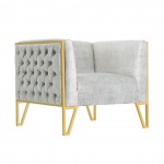 Vector Accent Chair in Grey and Gold (Set of 2)