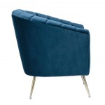 Rosemont Accent Chair in Blue and Gold (Set of 2)