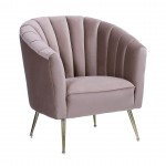 Rosemont Accent Chair in Blush and Gold (Set of 2)