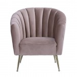 Rosemont Accent Chair in Blush and Gold (Set of 2)