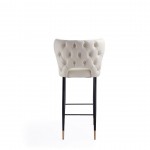 Holguin Barstool in Cream, Black and Gold (Set of 2)