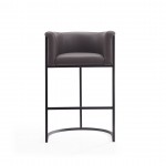 Cosmopolitan Barstool in Pebble and Black (Set of 2)