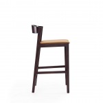 Klismos Counter Stool in Camel and Dark Walnut (Set of 2)