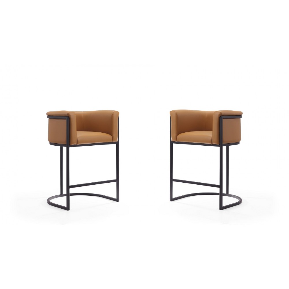 Cosmopolitan Counter Stool in Camel and Black (Set of 2)