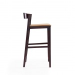 Klismos Barstool in Camel and Dark Walnut (Set of 3)