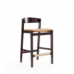 Klismos Counter Stool in Camel and Dark Walnut (Set of 3)