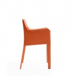 Paris 6-Piece Dining Chairs in Coral