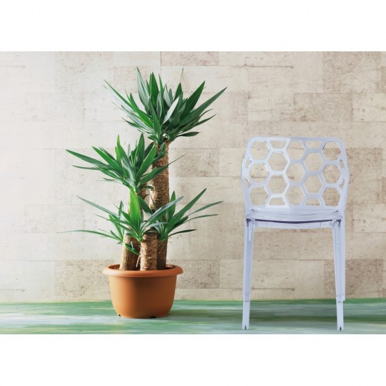 Fine Mod Imports Honeycomb Dining Chair, Clear