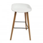 Fine Mod Imports Shen Odger Counter Stool, White