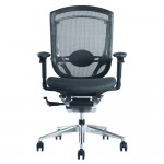 Fine Mod Imports Ergo Fit Highly Adjustable Mesh Office Chair, Black