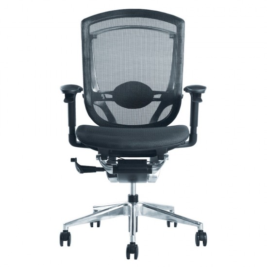 Fine Mod Imports Ergo Fit Highly Adjustable Mesh Office Chair, Black