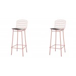 Madeline Barstool, Set of 2 in Rose Pink Gold and Black