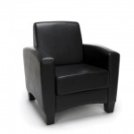 Essentials Collection Traditional Reception Arm Chair (ESS-9050)