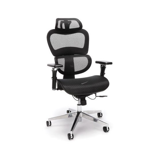 OFM Ergo Office Chair featuring Mesh Back and Seat with Optional Headrest (540)