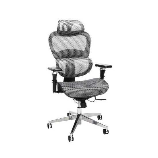 OFM Ergo Office Chair featuring Mesh Back and Seat with Optional Headrest (540)