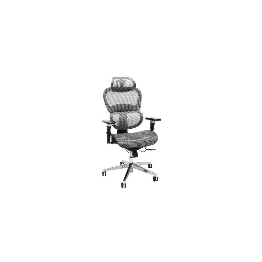 OFM Ergo Office Chair featuring Mesh Back and Seat with Optional Headrest (540)