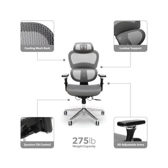 OFM Ergo Office Chair featuring Mesh Back and Seat with Optional Headrest (540)