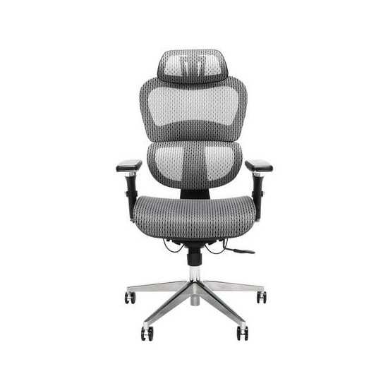 OFM Ergo Office Chair featuring Mesh Back and Seat with Optional Headrest (540)