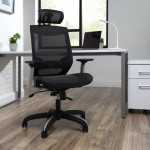 OFM Full Mesh Office Chair with Headrest, Lumbar Support (525)