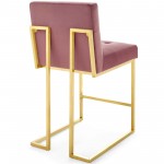 Privy Gold Stainless Steel Performance Velvet Counter Stool Set of 2